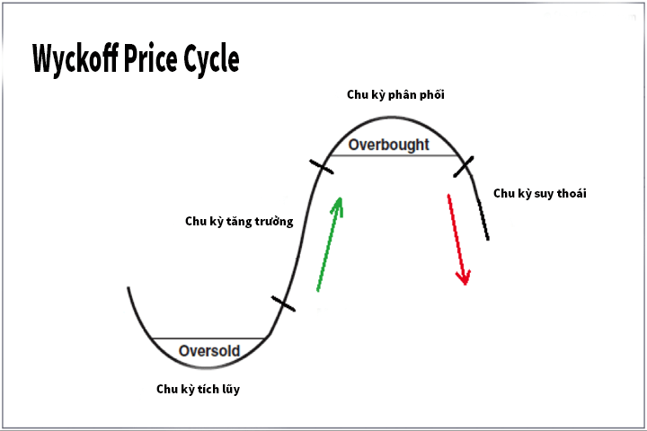 wyckoff price cycle phương pháp wyckoff