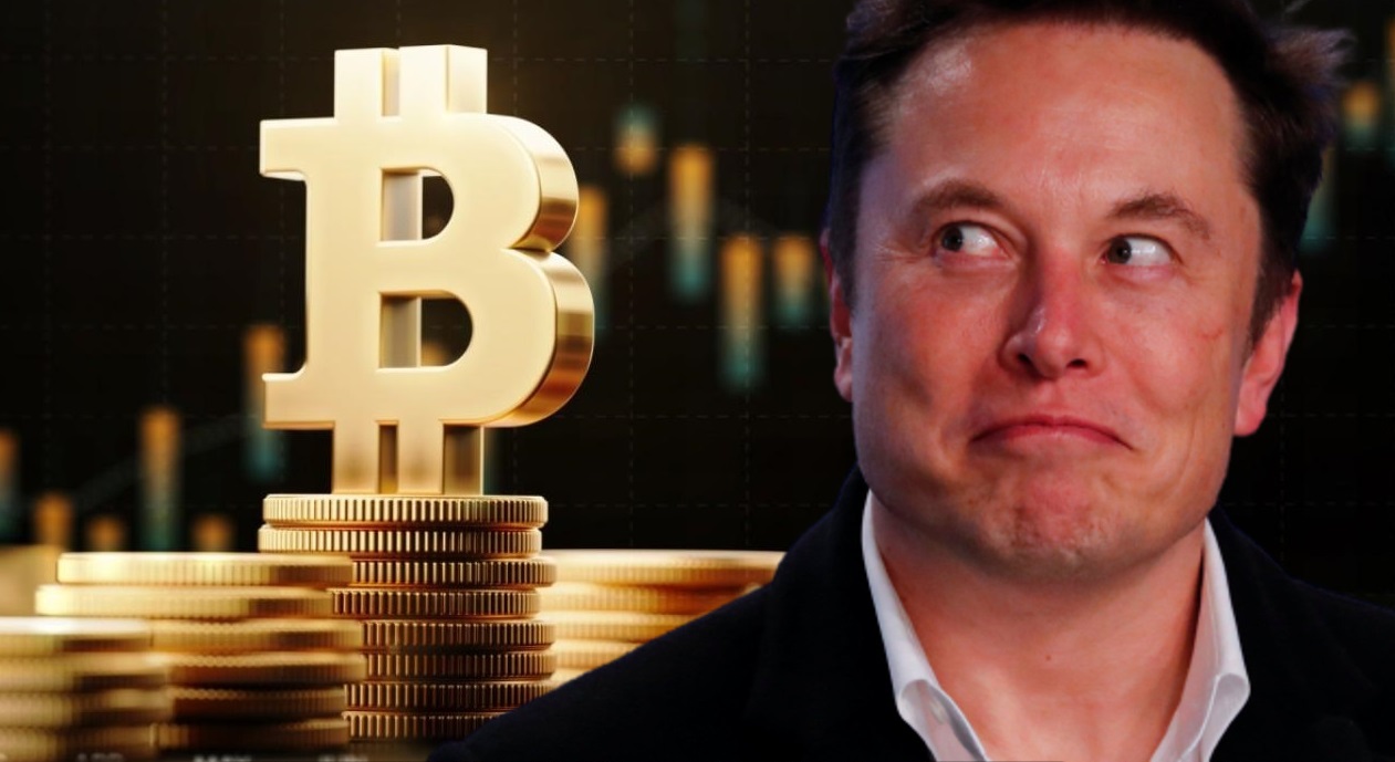 CEO Tesla Elon Musk với nhiều vụ FUD trên thị trường Crypto thời gian gần đây