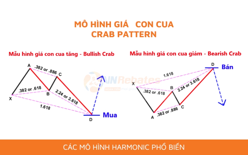 Các loại mô hình giá Harmonic: Mô hình con cua (Crab pattern)