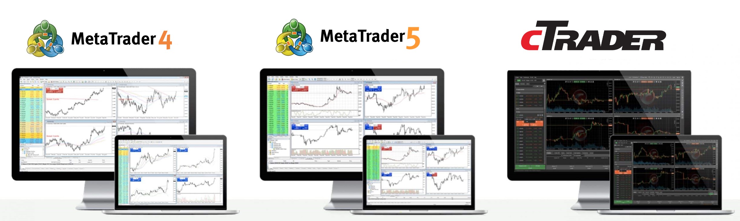 MT4, MT5 và cTrader là 3 nền tảng giao dịch phổ biến hàng đầu trong Forex trading
