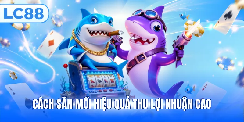 Cách săn mồi hiệu quả thu lợi nhuận cao