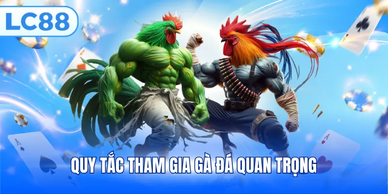 Quy tắc tham gia gà đá quan trọng